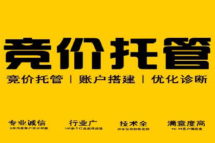案例解析：如何通过SEM搜索引擎优化实现关键词排名提升